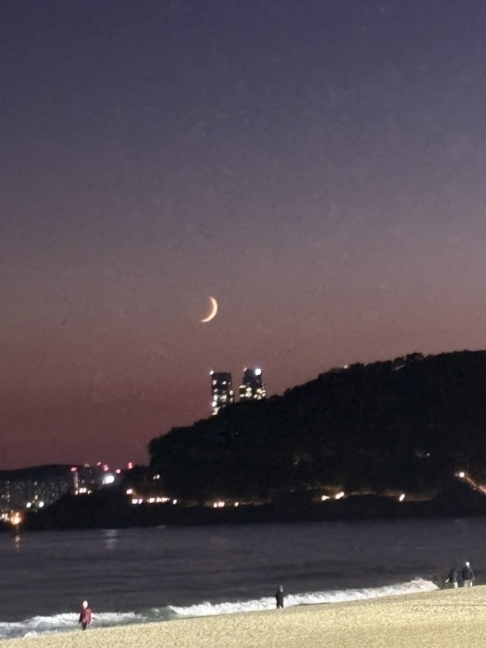 [크기변환][회전][크기변환]KakaoTalk_20261018_231612864_01.jpg