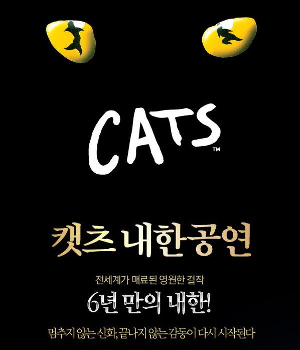 캣츠1.jpg