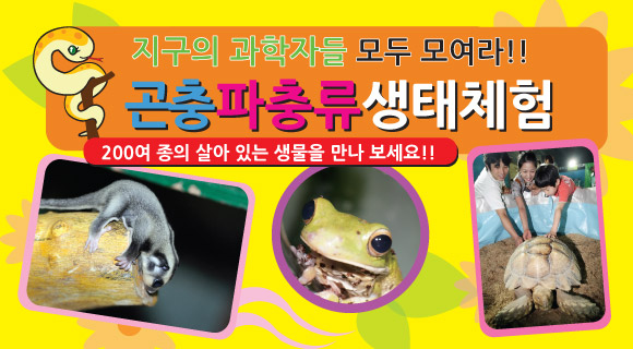 곤충파충류 생태체험학교.jpg