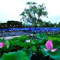 photozone03.jpg