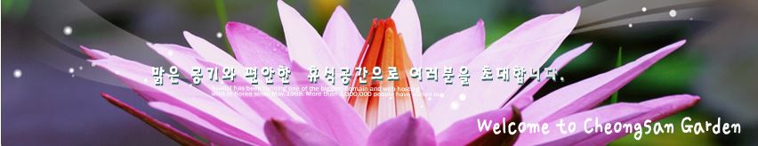 캡처.JPG
