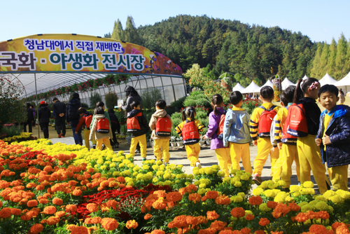 청남대.png