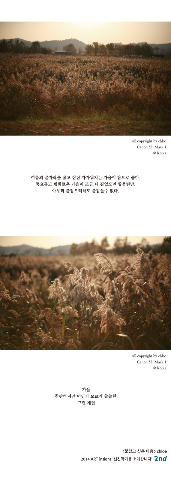 붙잡고 싶은 마음 (2014.11.17).jpg