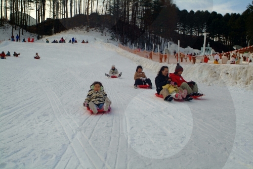 485068_image2_1.jpg