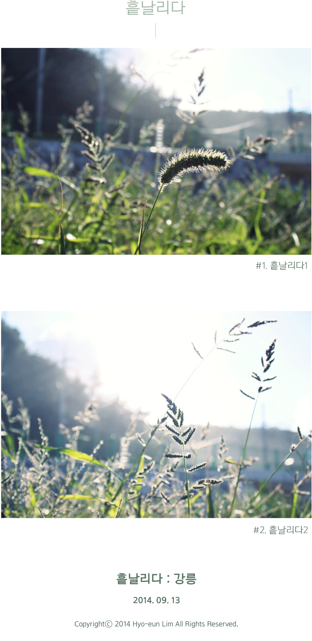 Untitled-4.png