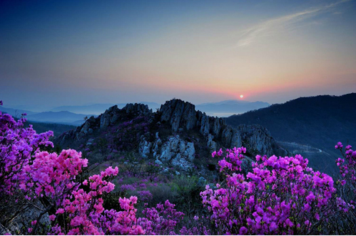 스크린샷(1090).jpg