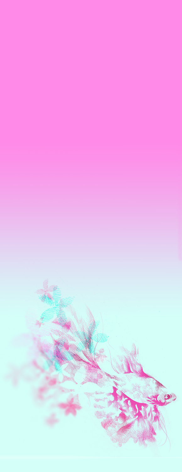 fish.jpg