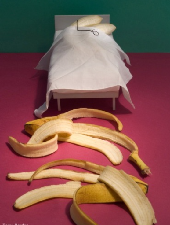 테리볼더 꺄.png