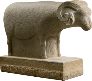 2014sheep_08.jpg