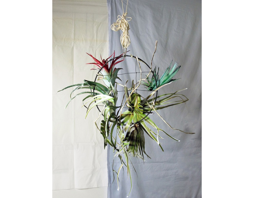 20150130_air plant1, mixed media, 77×98×35cm, 2014-.jpg