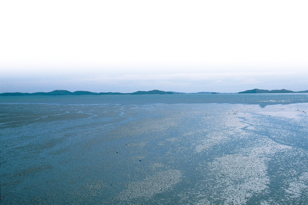 강화도-갯벌-1024x682.jpg