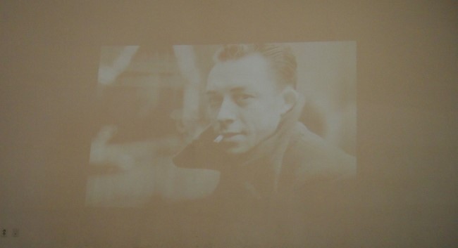 P1010129.jpg