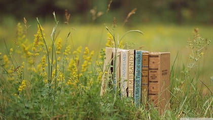 old_books_outdoors-wallpaper-2560x1440.jpg