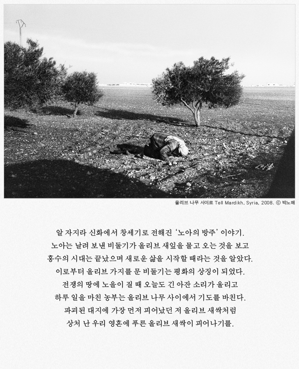 aljazeera_parknohae_06.jpg