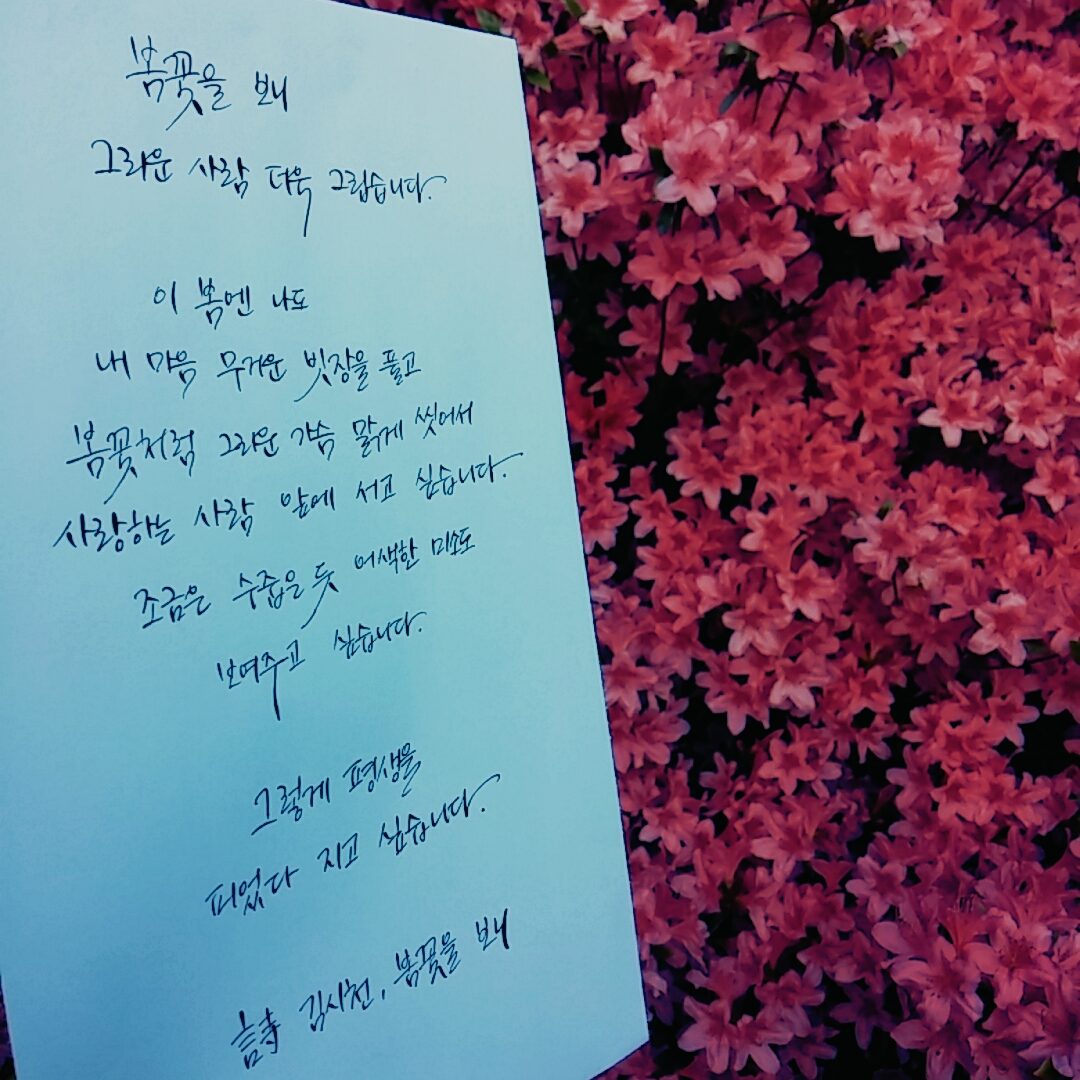 4주8.jpg