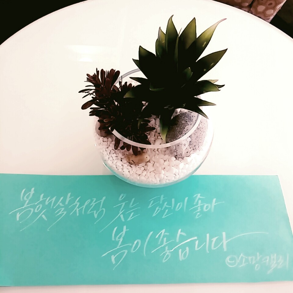4주0.jpeg