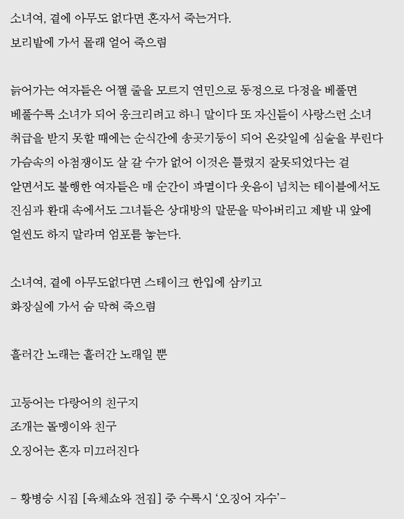 05오징어자수.jpg