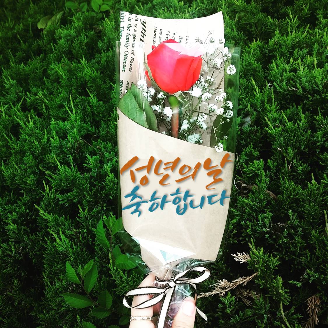 5월 3주 1.jpg