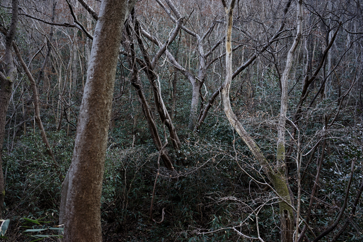 1.김정아_Illusion comique #01_ 105x70㎝_Digital C-Print_2015.jpg
