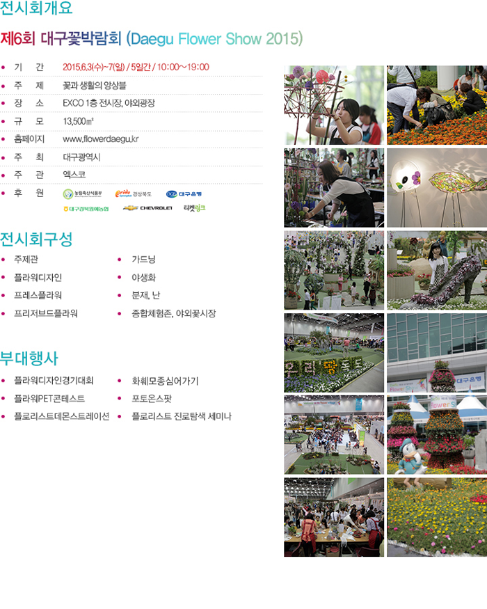 대구꽃1.png
