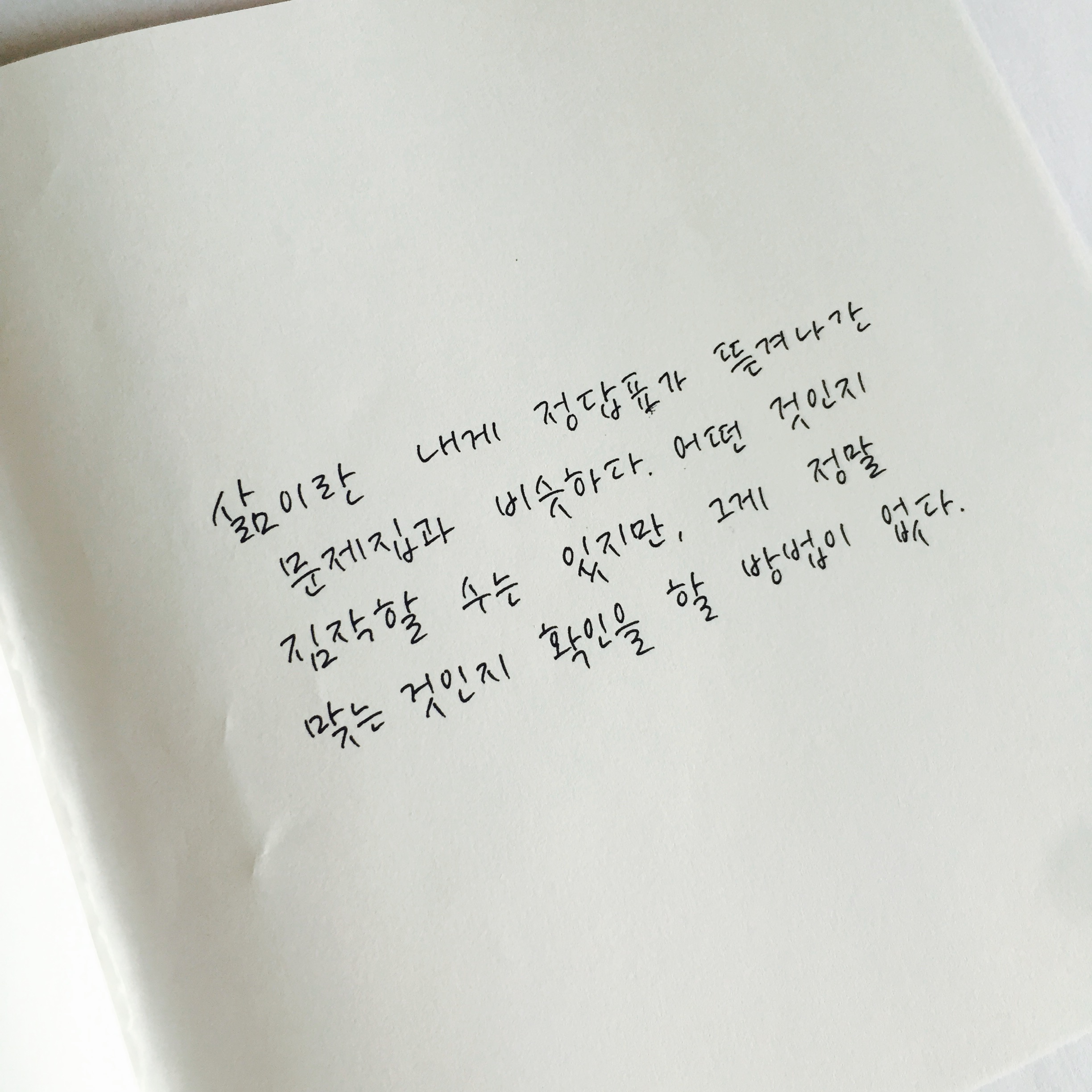 삶.JPG