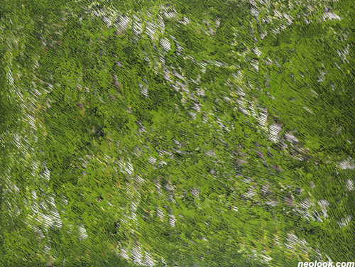 2015061103b.jpg