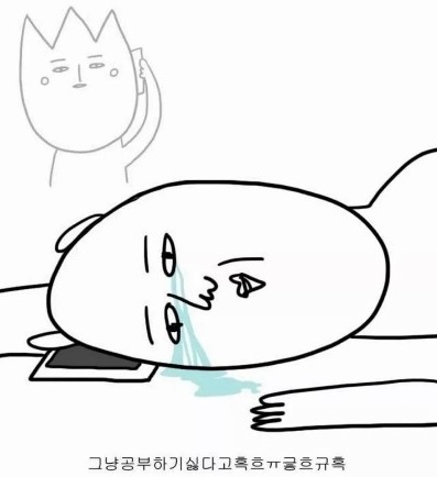 공부하기 싫다거.jpg
