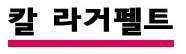 칼 라거펠트.jpg
