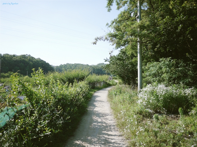 2015-07-01 06.54.jpg