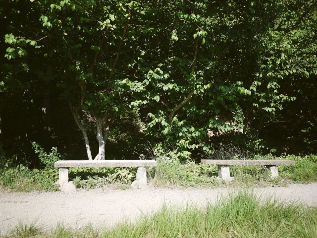 2015-07-01 06.49.jpg