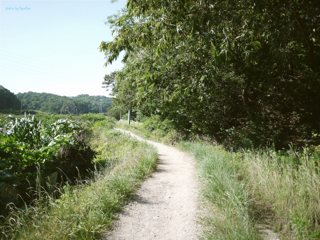 2015-07-01 06.45.jpg