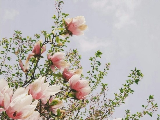 KakaoTalk_20150419_021345114.jpg