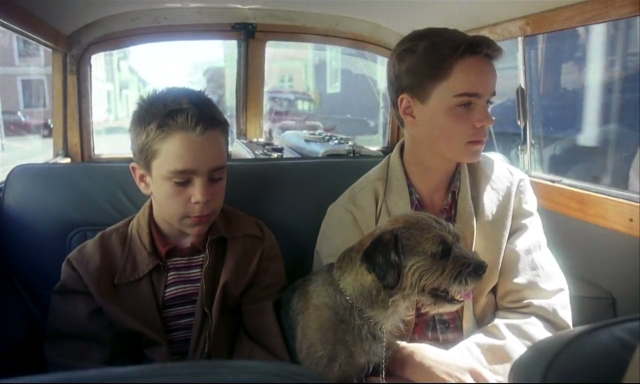 My.Life.As.A.Dog.1985.CC.x264.AC3-WAF 0001226788ms.png