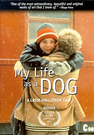 movie_image.jpg