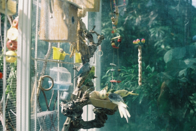 6. 이현아, Humming in heaven, 2014.jpg