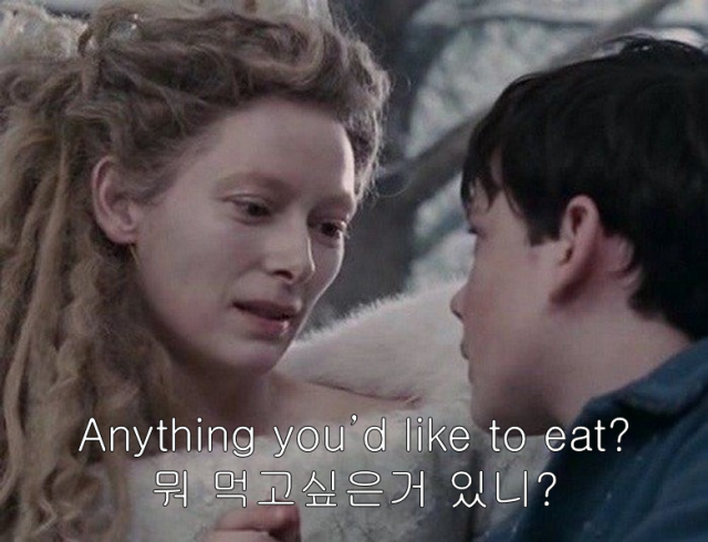 나니아1.png