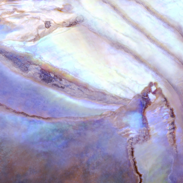 3. 찬란한 키스 (Brilliant Kiss)_Archival Pigment Print on Canvas_71.1x71.1cm_2015.jpg