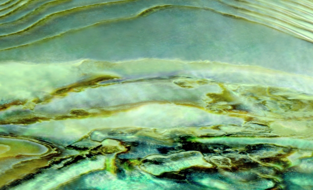 3. 초록빛 세상 (Green Universe)_Archival Pigment Print Face-mounted on Acrylic_50.8x71.1cm_2015.jpg