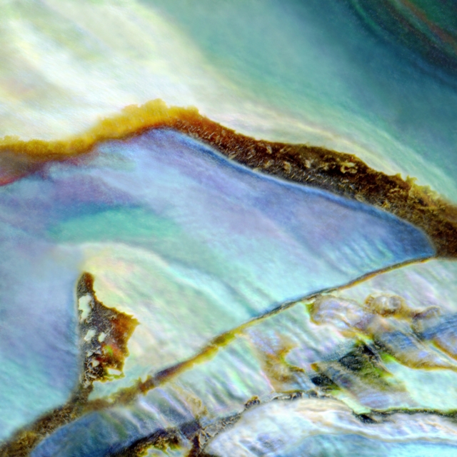 4. 홀로서기 (In My Own World)_Archival Pigment Print on Canvas_71.1x71.1cm_2015.jpg