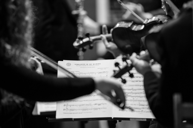 concert-814336_1280.jpg