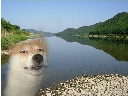 개강.jpg