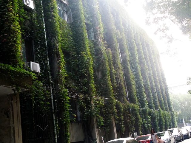 C360_2015-09-20-16-14-26-051.jpg