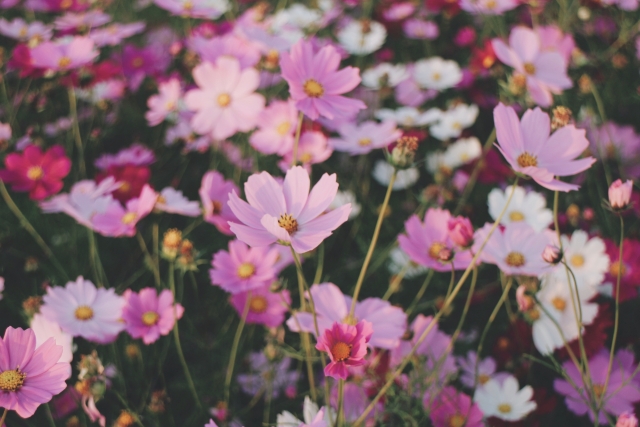 CYMERA_20151017_223310.jpg