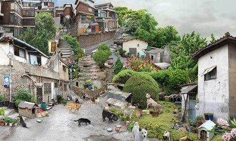 블라인드 상세정보3.jpg