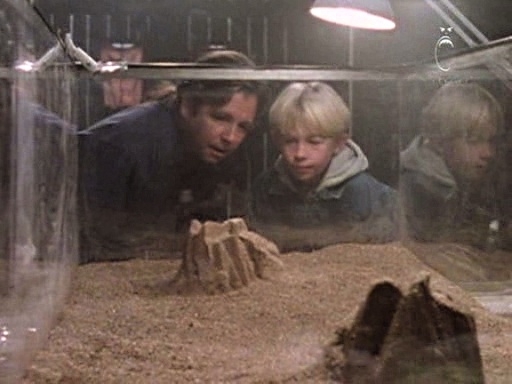 Sand_Kings.jpg