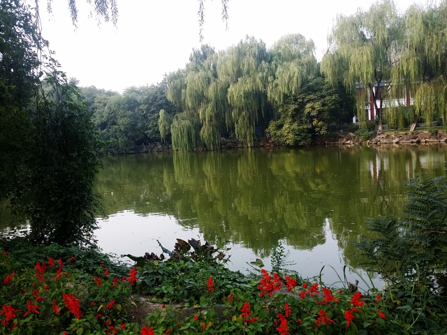 C360_2015-09-20-16-41-20-707.jpg