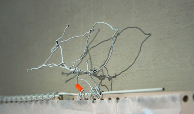 silent-spring-01.jpg