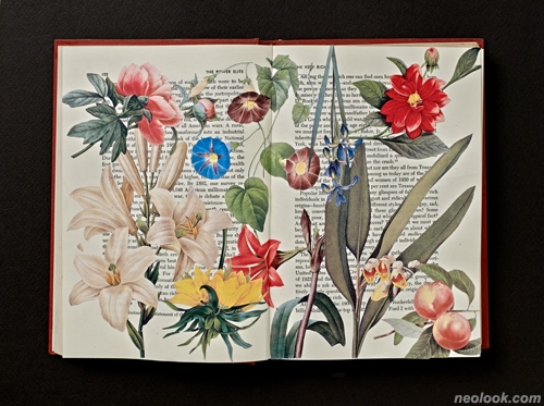 2015103018c.jpg