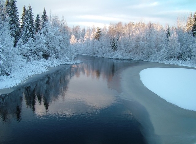 2015-12-04 12-13-26.jpg