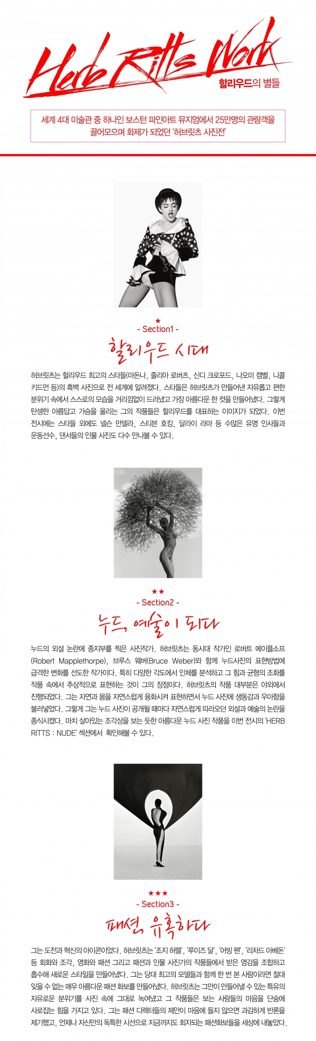섹션.jpg